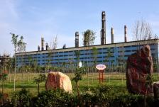 化企组队参加滨海新区首届职工健康运动会开幕式