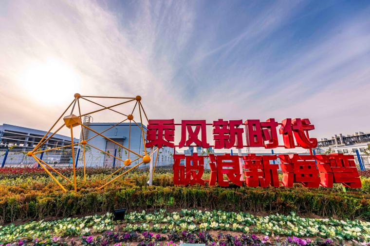 廯ѧĿȫͶ 뷢չ½׶